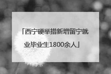 西宁硬举措新增留宁就业毕业生1800余人
