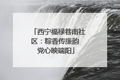 西宁福禄巷南社区：粽香传廉韵 党心映端阳