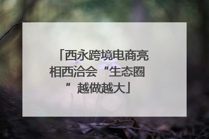 西永跨境电商亮相西洽会“生态圈”越做越大