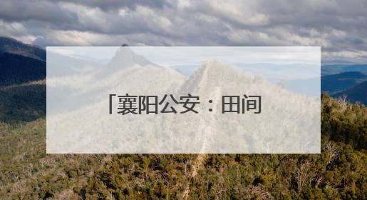 襄阳公安：田间“微警务”绘就三夏“丰收图”