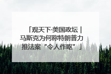 观天下·美国政坛｜马斯克为何称特朗普力推法案“令人作呕”