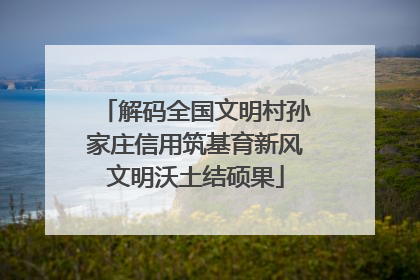 解码全国文明村孙家庄信用筑基育新风文明沃土结硕果