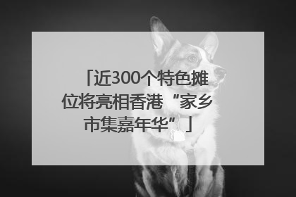 近300个特色摊位将亮相香港“家乡市集嘉年华”