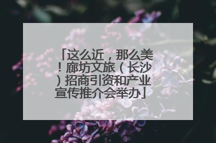 这么近，那么美！廊坊文旅（长沙）招商引资和产业宣传推介会举办