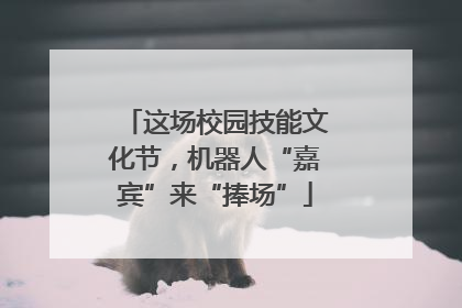 这场校园技能文化节，机器人“嘉宾”来“捧场”