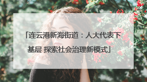 连云港新海街道：人大代表下基层 探索社会治理新模式