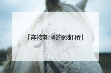 连接新疆的彩虹桥