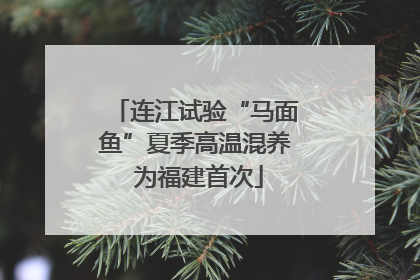 连江试验“马面鱼”夏季高温混养 为福建首次