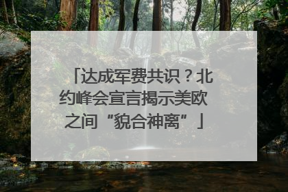 达成军费共识？北约峰会宣言揭示美欧之间“貌合神离”