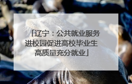 辽宁：公共就业服务进校园促进高校毕业生高质量充分就业