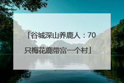谷城深山养鹿人：70只梅花鹿带富一个村