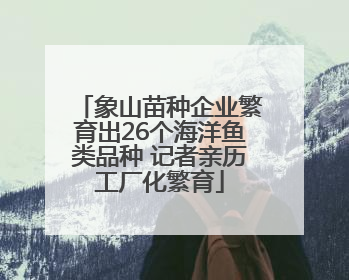象山苗种企业繁育出26个海洋鱼类品种 记者亲历工厂化繁育