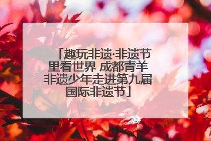 趣玩非遗·非遗节里看世界 成都青羊非遗少年走进第九届国际非遗节