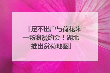 足不出户与荷花来一场浪漫约会！湖北推出赏荷地图