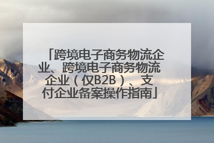 跨境电子商务物流企业、跨境电子商务物流企业（仅B2B）、支付企业备案操作指南