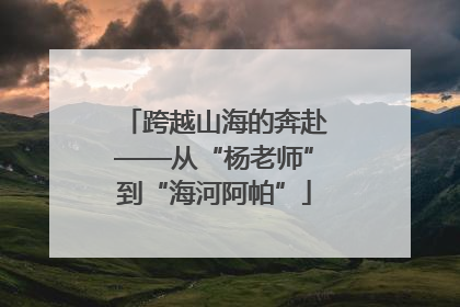 跨越山海的奔赴——从“杨老师”到“海河阿帕”