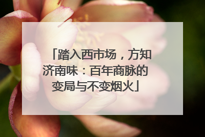 踏入西市场，方知济南味：百年商脉的变局与不变烟火