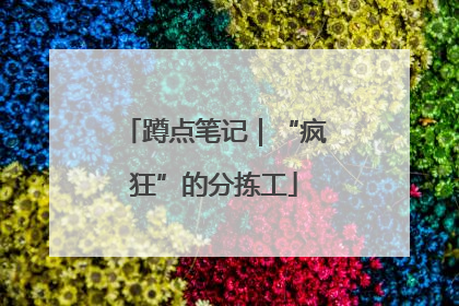 蹲点笔记｜“疯狂”的分拣工