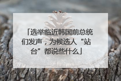 选举临近韩国前总统们发声，为候选人“站台”都说些什么