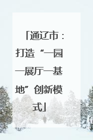 通辽市：打造“一园一展厅一基地”创新模式