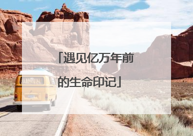 遇见亿万年前的生命印记