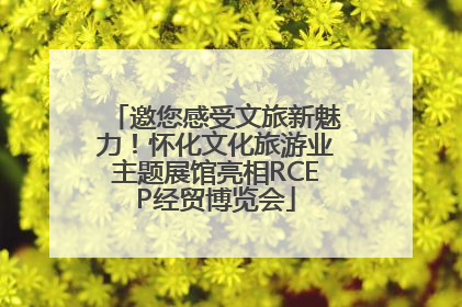 邀您感受文旅新魅力！怀化文化旅游业主题展馆亮相RCEP经贸博览会
