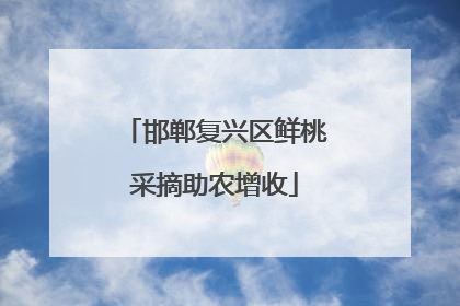 邯郸复兴区鲜桃采摘助农增收