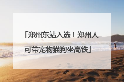 郑州东站入选！郑州人可带宠物猫狗坐高铁