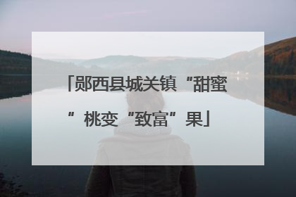 郧西县城关镇“甜蜜”桃变“致富”果