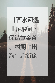 酉水河遇上尼罗河：保靖黄金茶、村厨“出海”启新途