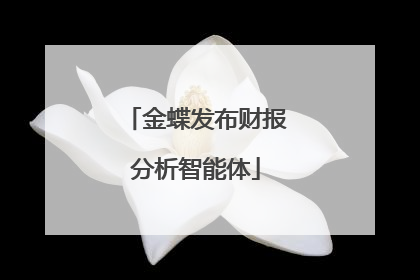 金蝶发布财报分析智能体