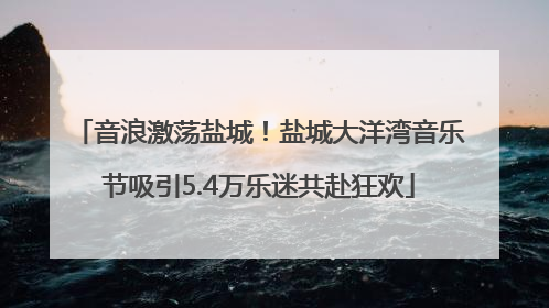 音浪激荡盐城！盐城大洋湾音乐节吸引5.4万乐迷共赴狂欢