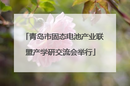 青岛市固态电池产业联盟产学研交流会举行