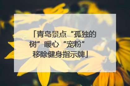 青岛景点“孤独的树”暖心“宠粉” 移除健身指示牌
