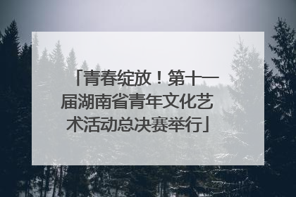 青春绽放！第十一届湖南省青年文化艺术活动总决赛举行
