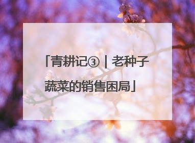 青耕记③｜老种子蔬菜的销售困局