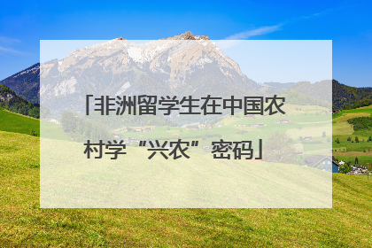 非洲留学生在中国农村学“兴农”密码