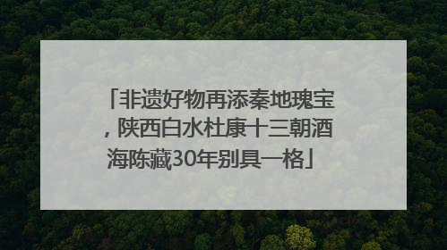 非遗好物再添秦地瑰宝，陕西白水杜康十三朝酒海陈藏30年别具一格