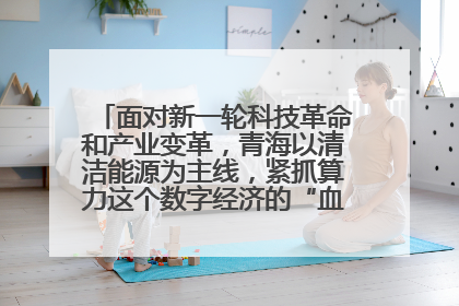 面对新一轮科技革命和产业变革，青海以清洁能源为主线，紧抓算力这个数字经济的“血液”、科技主权的“筹码”、产业升级的“杠杆”、绿色转型的“支点”，勇于撬动国家“双碳”战略、“东数西算”工程重大发展新机遇