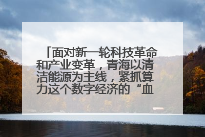 面对新一轮科技革命和产业变革，青海以清洁能源为主线，紧抓算力这个数字经济的“血液”、科技主权的“筹码”、产业升级的“杠杆”、绿色转型的“支点”，勇于撬动国家“双碳”战略、“东数西算”工程重大发展新机遇，点亮绿色算电协同新赛道，蹚出一条符合本地实际的高质量发展之路——青海：“绿色算力” 锚定“东数西算”国家战略布局
