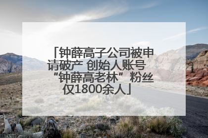钟薛高子公司被申请破产 创始人账号“钟薛高老林”粉丝仅1800余人