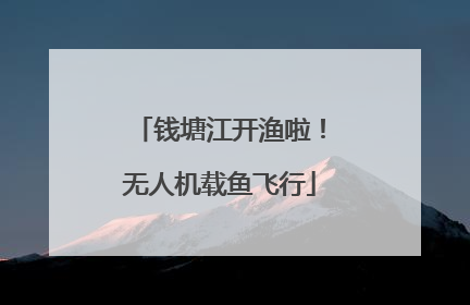 钱塘江开渔啦！无人机载鱼飞行