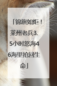 锦旗如炬！莱州老兵3.5小时怒海46海里抢回生命