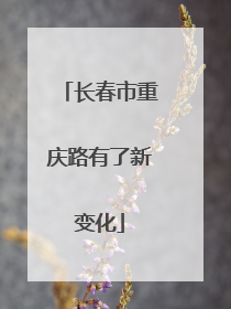 长春市重庆路有了新变化