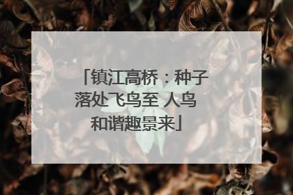 镇江高桥：种子落处飞鸟至 人鸟和谐趣景来