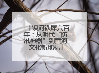 镇河铁犀六百年：从明代“防汛神器”到黄河文化新地标