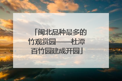 闽北品种最多的竹观赏园——杜潭百竹园建成开园
