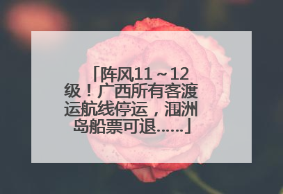 阵风11～12级！广西所有客渡运航线停运，涠洲岛船票可退……
