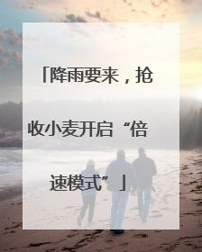 降雨要来，抢收小麦开启“倍速模式”