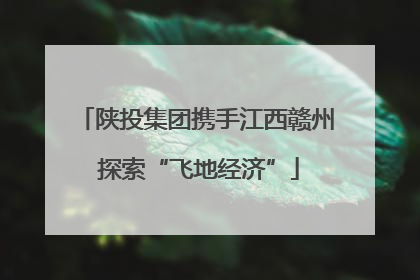 陕投集团携手江西赣州 探索“飞地经济”